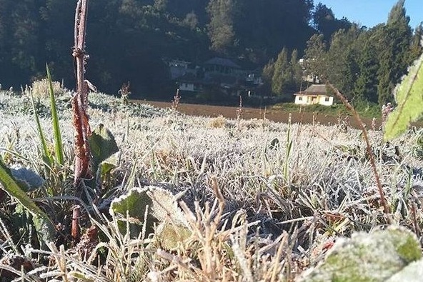 Hamparan Es Selimuti Kawasan Bromo Dan Semeru